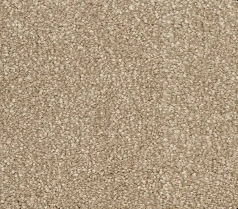 Momentun 1293 Mocha