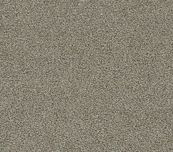 Moving Up Iron Gate