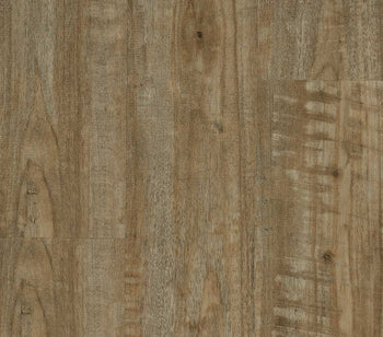 Parterre Click SB Halle Cedar