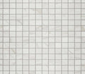Platinum Calacatta Empire
