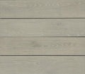 Platinum Light Gray