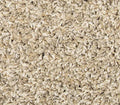 Polished Tones Greige
