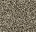 Polished Tones Taupe Whisper