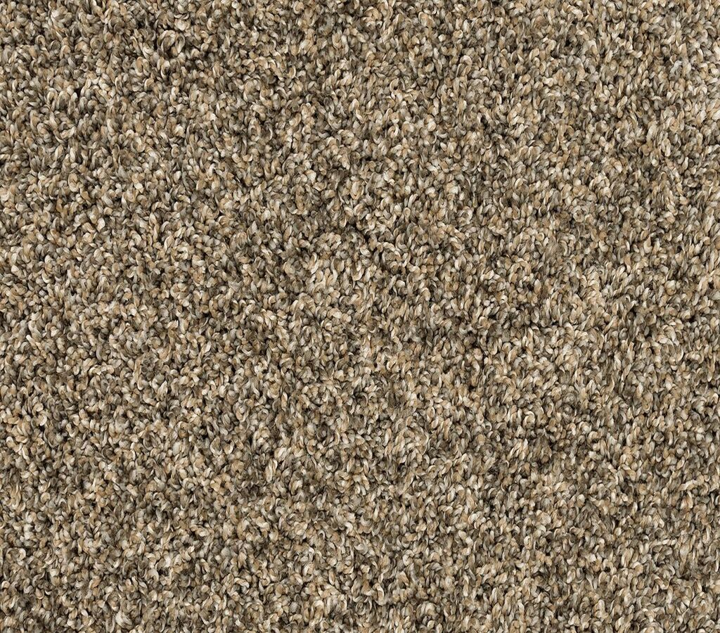 Purrsonality III Cracked Wheat