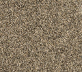 Purrsonality III Cracked Wheat
