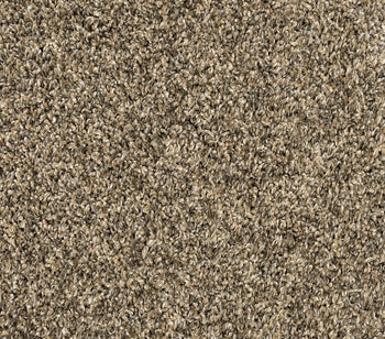 Purrsonality III Cracked Wheat
