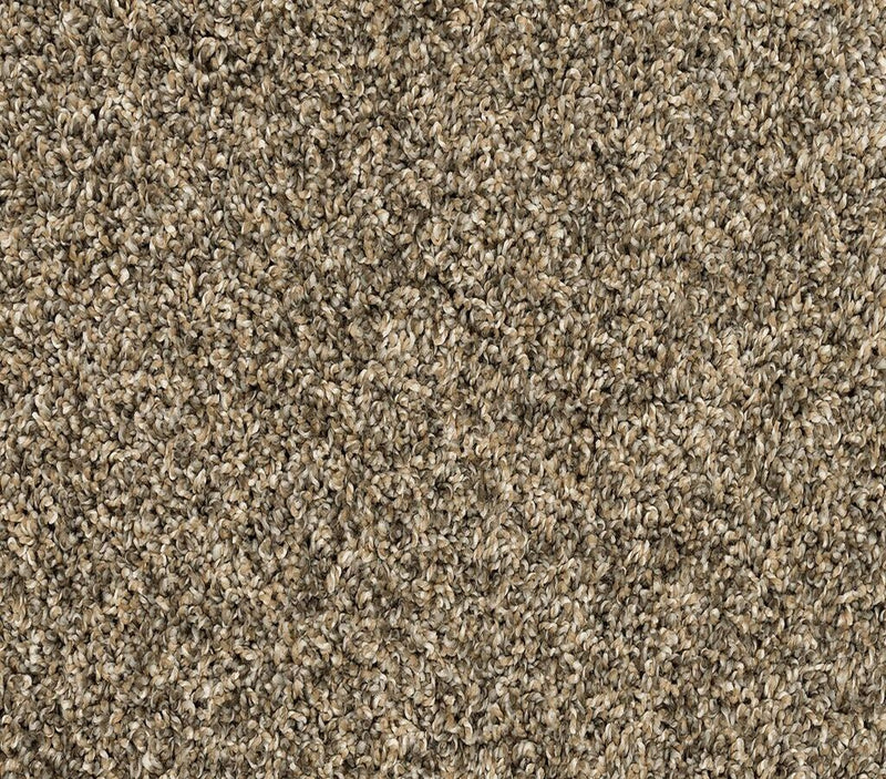 Purrsonality III Cracked Wheat