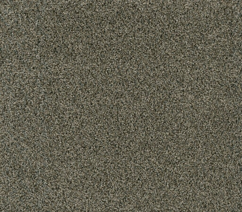 Rave Review Midnight Shadow