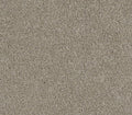 Rave Review Vela