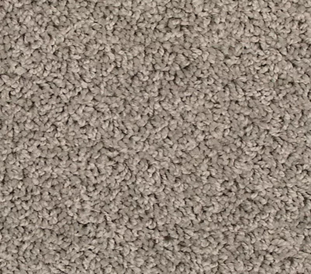 Reactivate Winter Ash