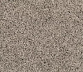 Reactivate Winter Ash