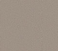 Refined Beauty Dawn Beige
