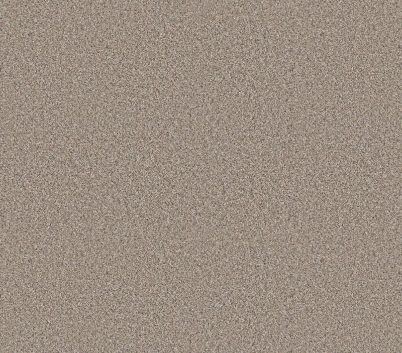 Refined Beauty Nutria