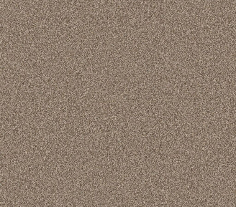 Refined Beauty Rodeo