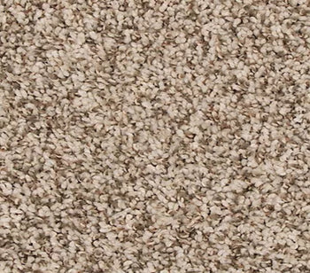 Rejuvenate Elk Beige