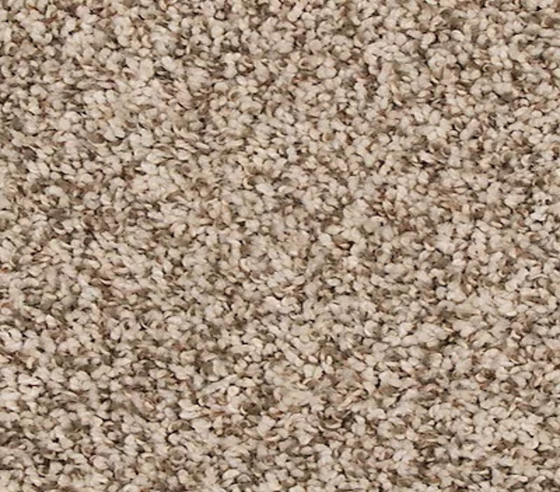 Rejuvenate Elk Beige