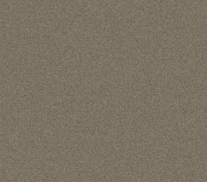 Rule Breaker Wheat 26