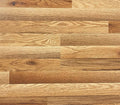 Scenery SB Dandelion Oak