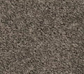 Spectrum Pewter