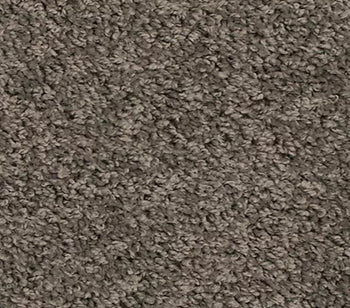 Spectrum Pewter