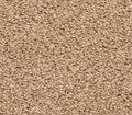Spectrum Toffee Cream