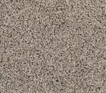 Spectrum Winter Ash