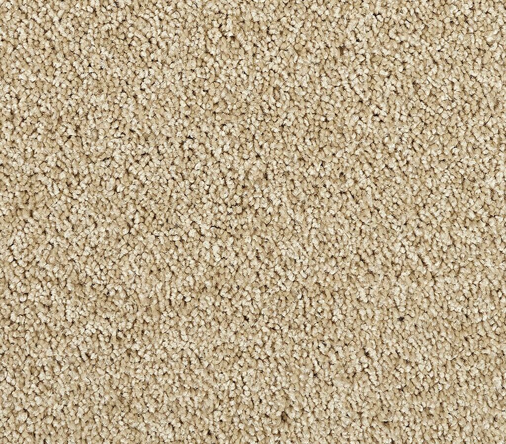 Zenith Sandy Dunes
