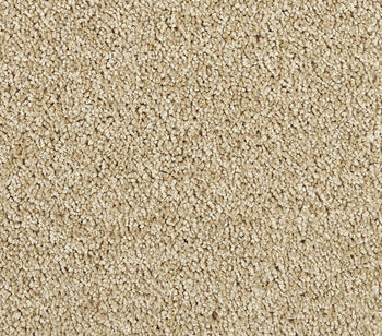 Zenith Sandy Dunes