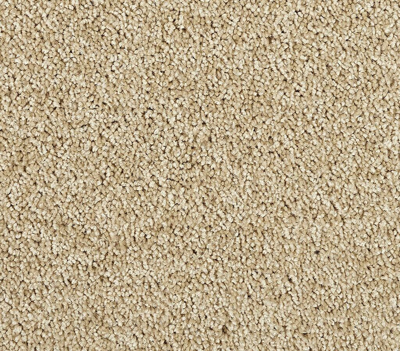 Zenith Sandy Dunes