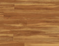 COREtec Plus Red River Hickory