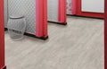 COREtec Pro Plus Enhanced Wexford