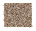 Action Item Canyon Shade