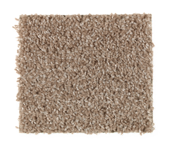 Action Item Canyon Shade