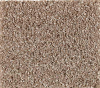 Action Item Canyon Shade