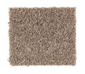 Action Item Mesquite Chip