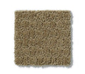 Activate Travertine