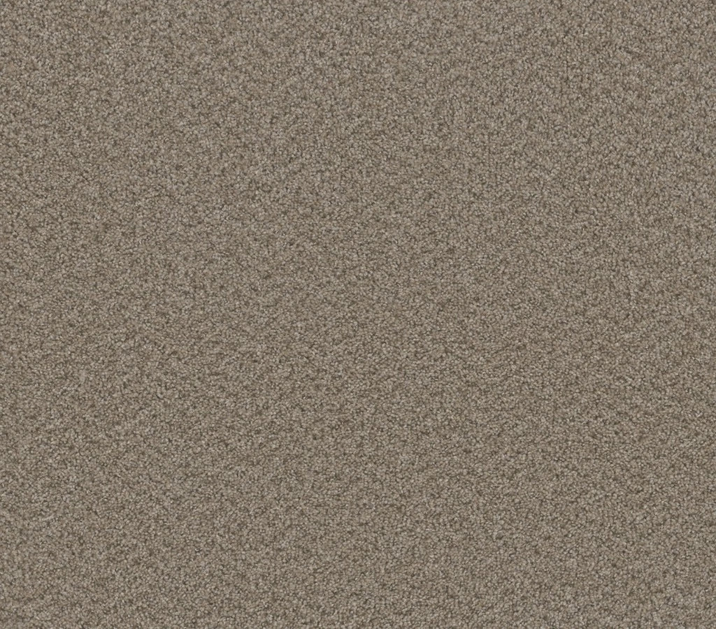 Airwaves Plus Almond
