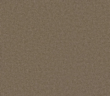 Airwaves Plus Sandstone