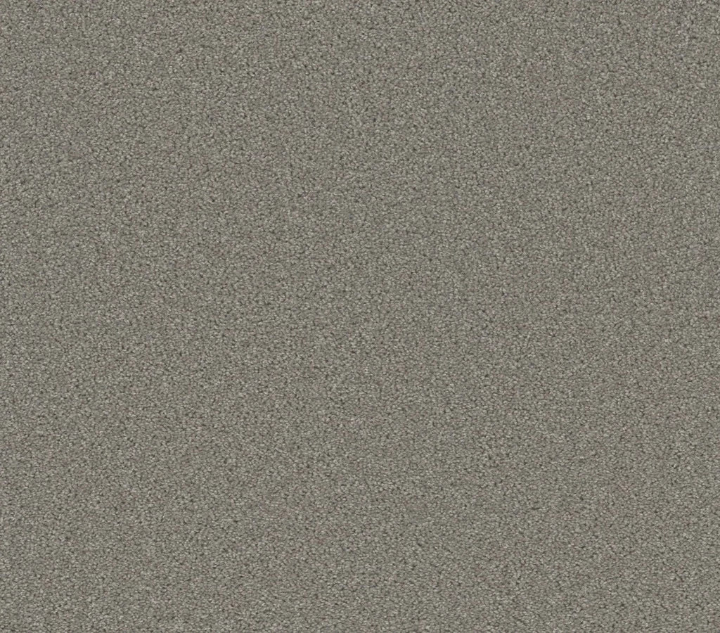 Airwaves Plus Silver Birch