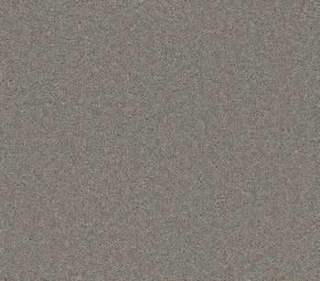 Airwaves Plus Silver Birch