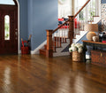 American Scrape Hickory Engineered Autumn Blaze