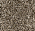 Brooklyn Saddle Brown