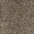Queens Saddle Brown