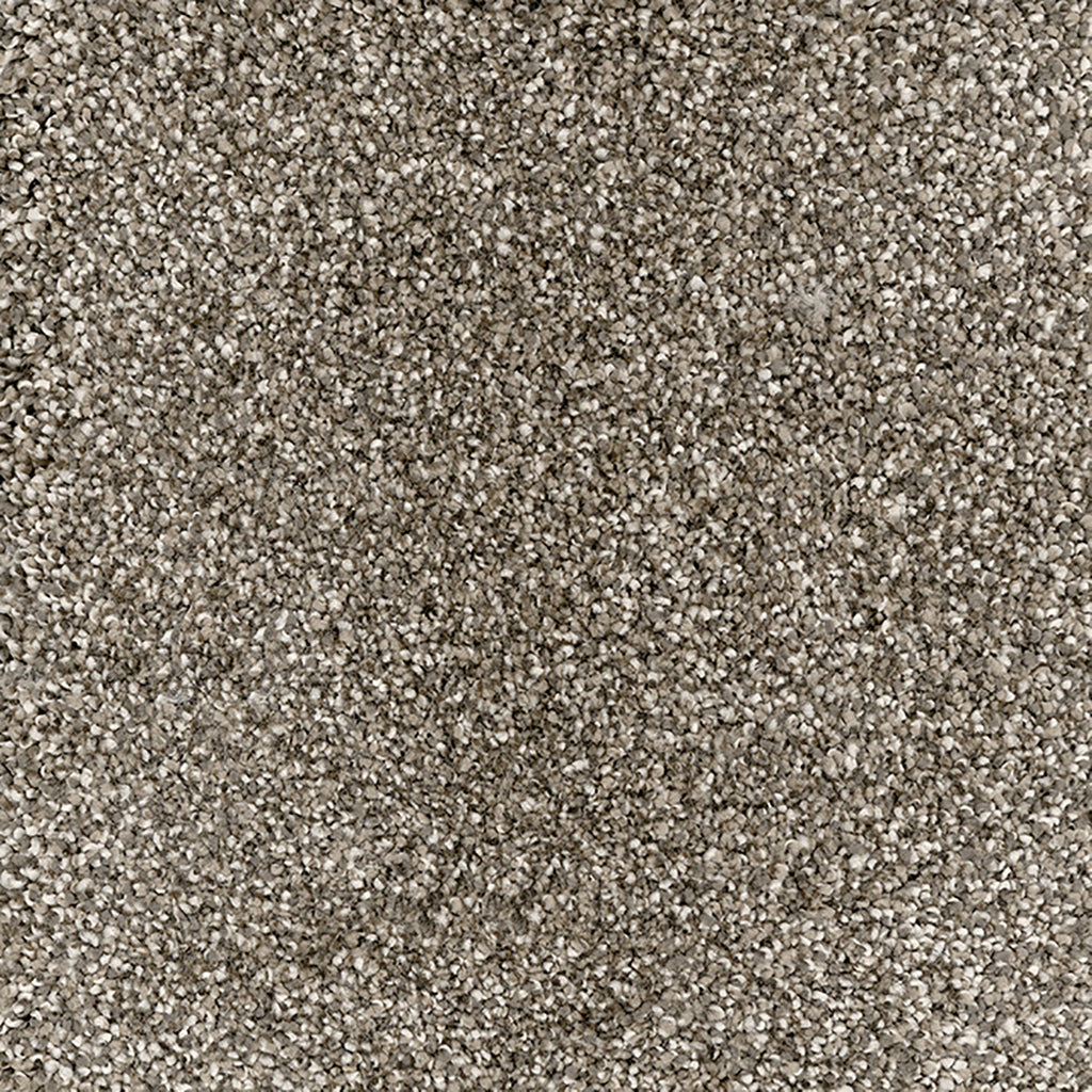 Queens Virtual Taupe