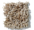 Bling Cattail