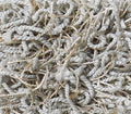 Bling Pacific Breeze
