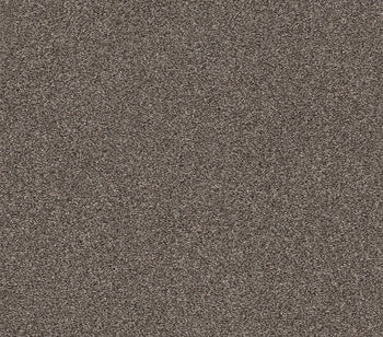 Calm Simplicity I Antelope