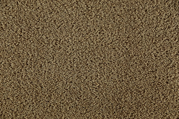 Challenger Soft Beige