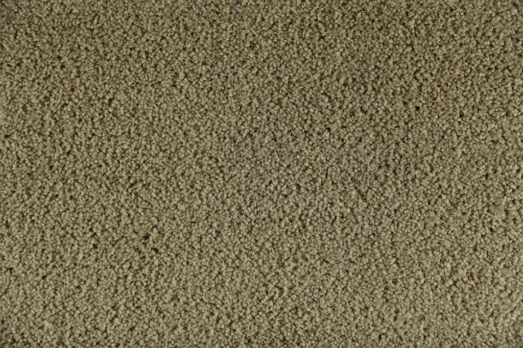 Challenger Soft Taupe