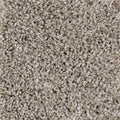 Companion Sharkskin